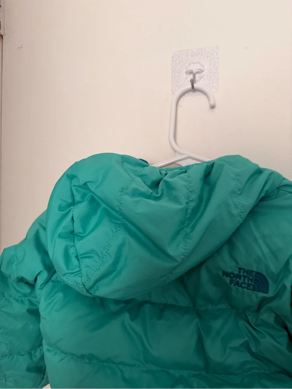 The North Face Teal/Turquoise Kids Puffer reversible hooded and mittens